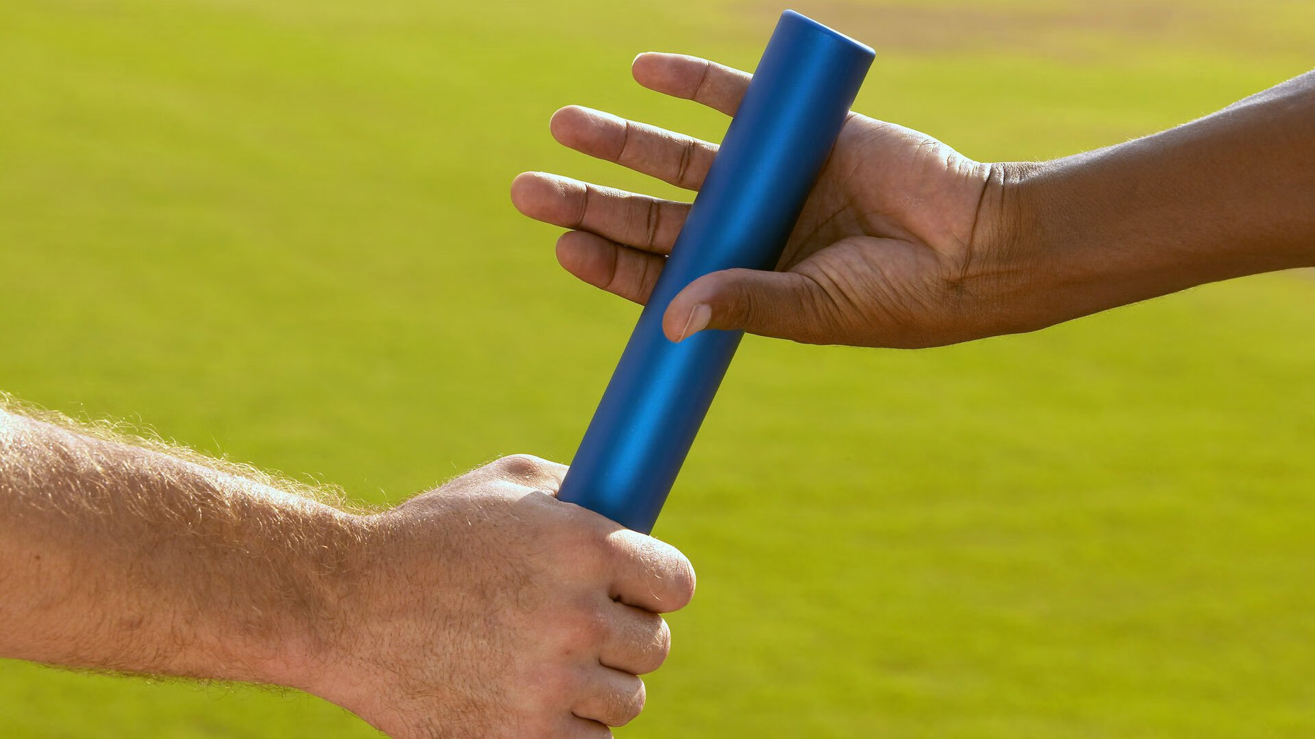 AYX体育-摩洛哥马术协会与亚洲马术协会建立合作关系，推动区域发展。，摩洛哥种马